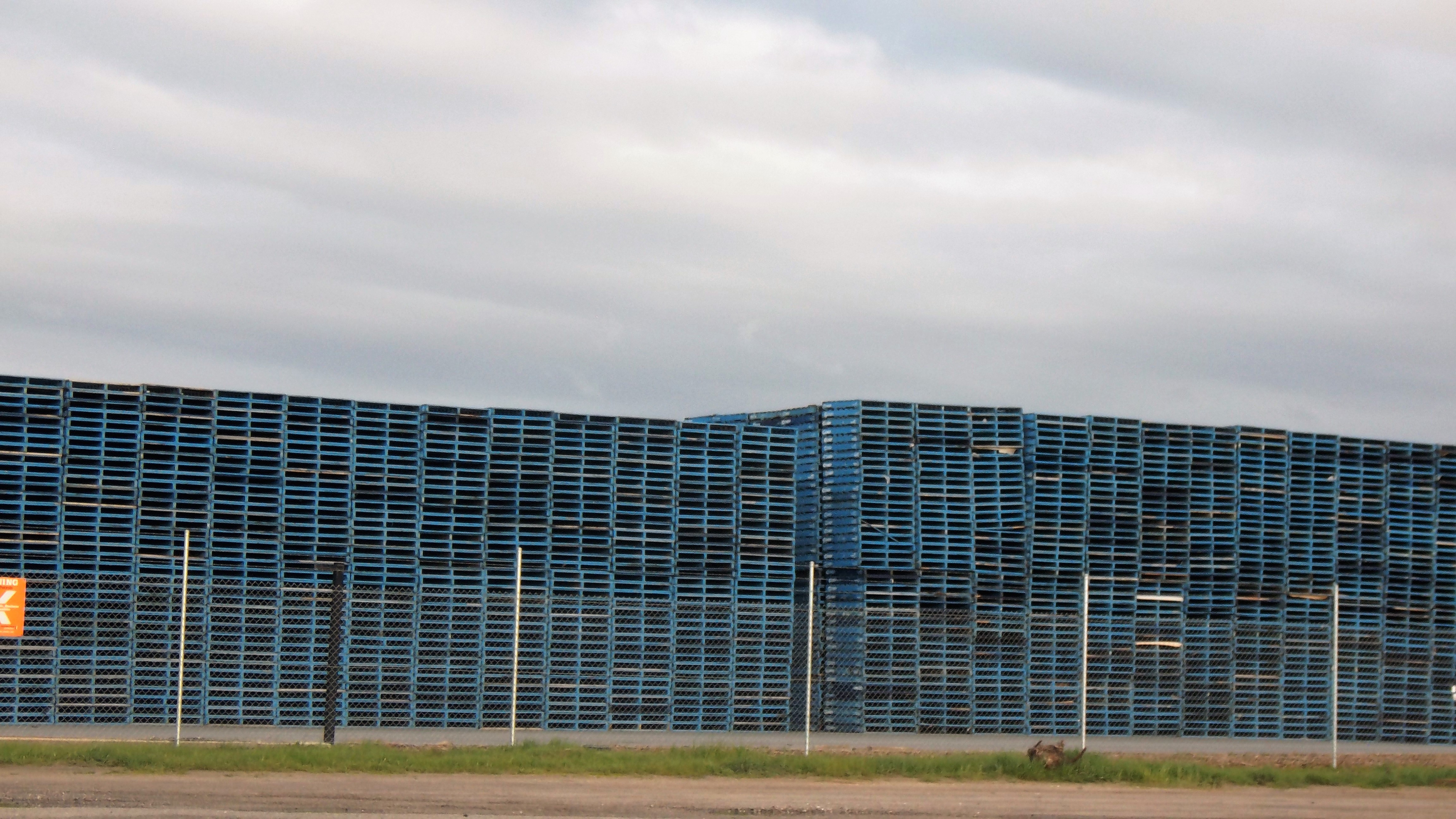 Blue pallet stacks in an outdoor storage yard
